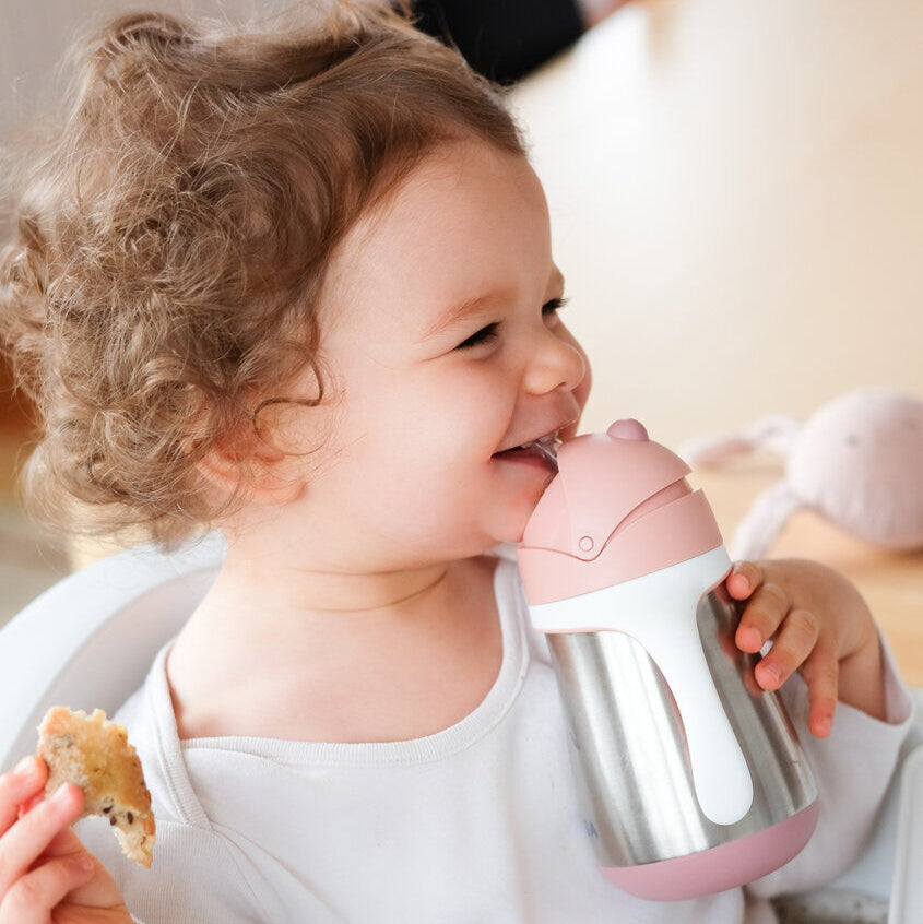 Stainless Steel Straw Cup 251 ml.