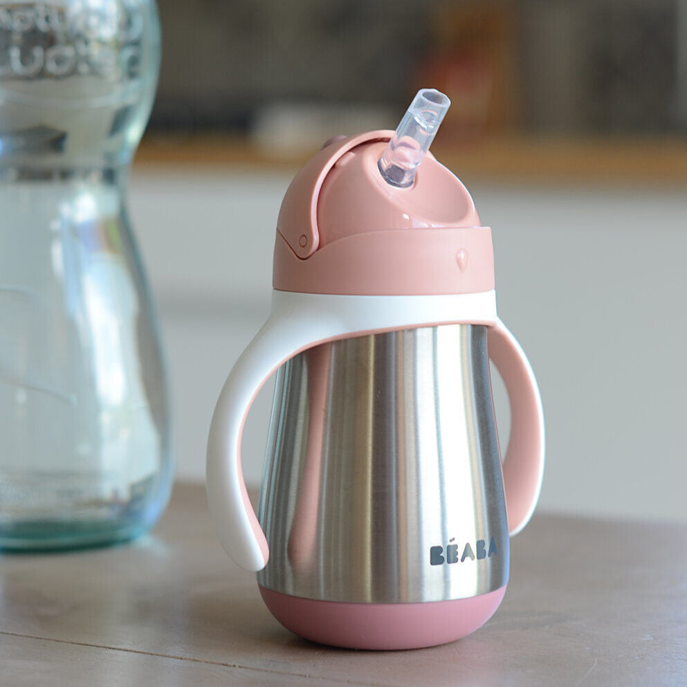 Stainless Steel Straw Cup 251 ml.