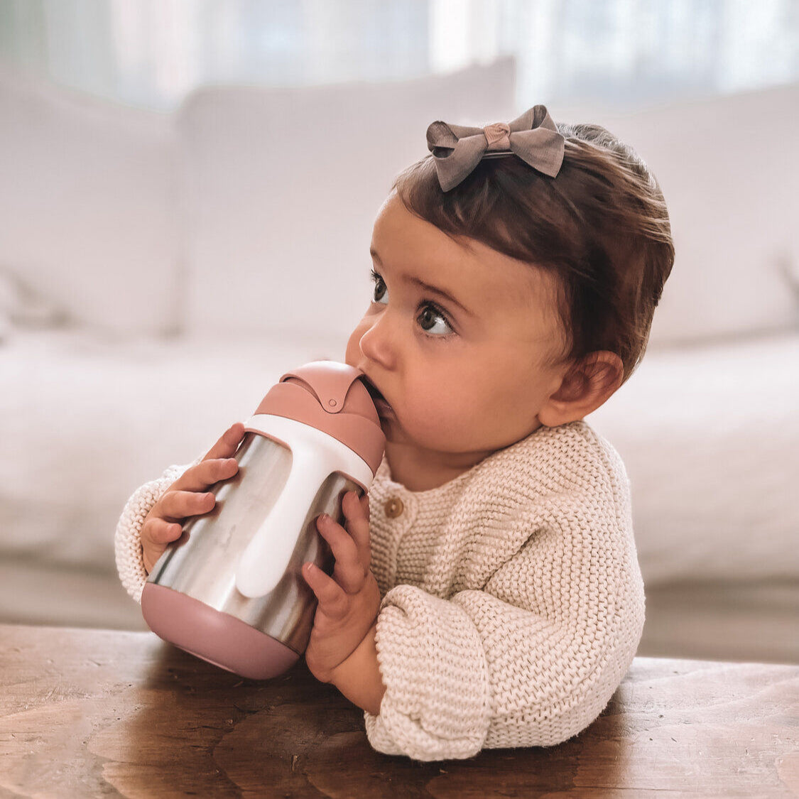 Stainless Steel Straw Cup 251 ml.