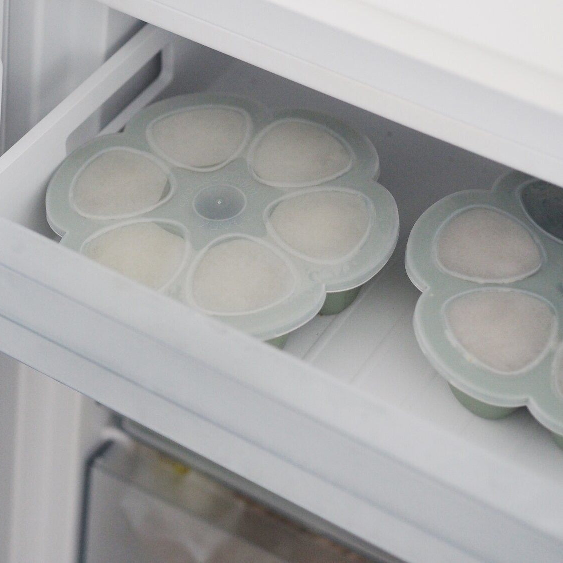 Silikon-Mehrportions-Trays 6x142 g